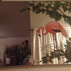 sheilavharper avatar