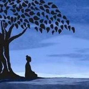 inherentnature avatar