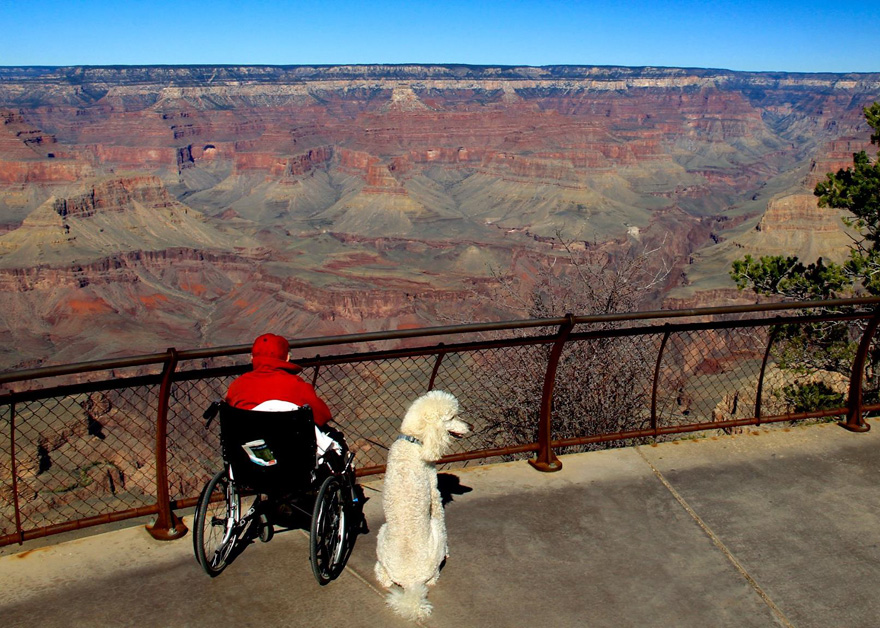 90-year-old-woman-cancer-road-trip-dog-miss-norma-16 90-year-old-woman-cancer-road-trip-dog-miss-norma-16