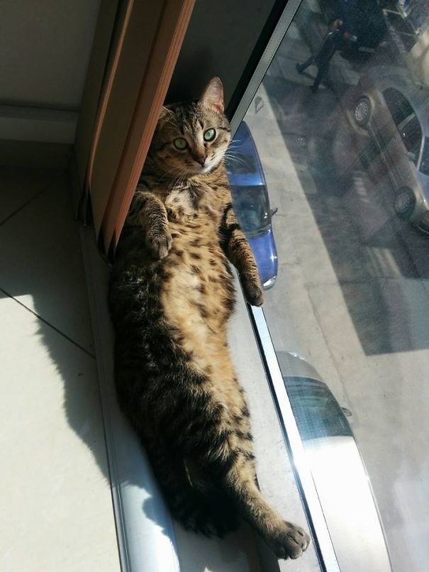 What? Just Getting Some Sun!!!