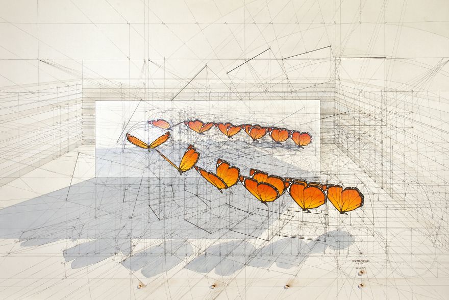 Hand-Drawn Coloring Book Reveals Mathematical Beauty Of Nature’s Designs With Golden Ratio Illustrations Hand-Drawn Coloring Book Reveals Mathematical Beauty Of Nature’s Designs With Golden Ratio Illustrations