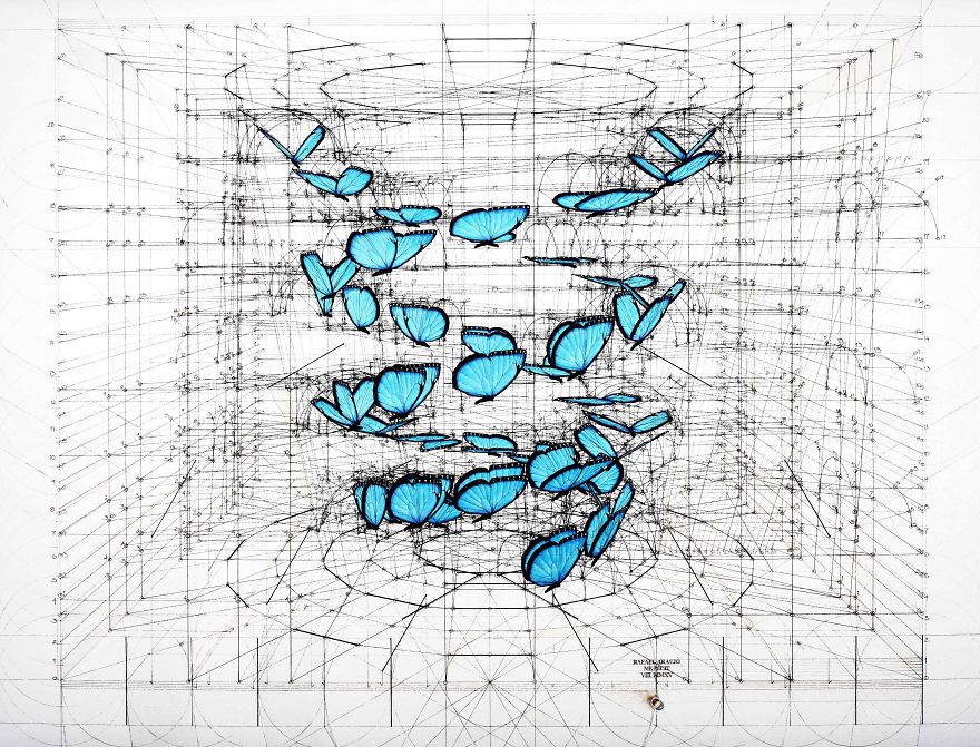 Hand-Drawn Coloring Book Reveals Mathematical Beauty Of Nature’s Designs With Golden Ratio Illustrations Hand-Drawn Coloring Book Reveals Mathematical Beauty Of Nature’s Designs With Golden Ratio Illustrations