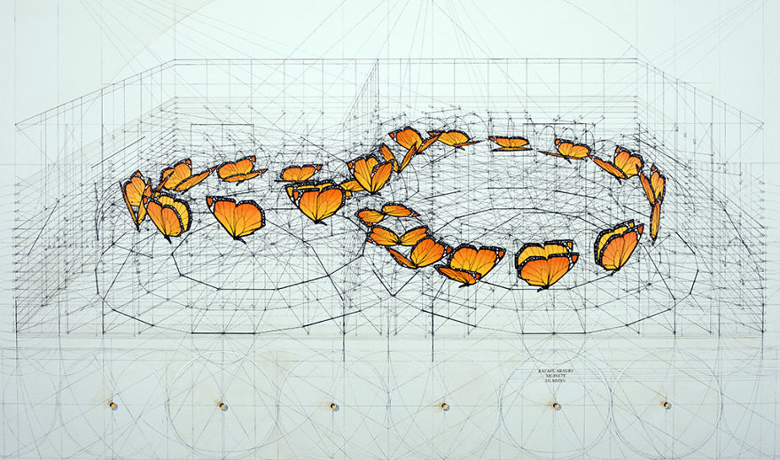 Hand-Drawn Coloring Book Reveals Mathematical Beauty Of Nature’s Designs With Golden Ratio Illustrations Hand-Drawn Coloring Book Reveals Mathematical Beauty Of Nature’s Designs With Golden Ratio Illustrations