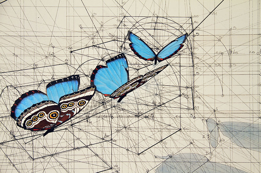 Hand-Drawn Coloring Book Reveals Mathematical Beauty Of Nature’s Designs With Golden Ratio Illustrations Hand-Drawn Coloring Book Reveals Mathematical Beauty Of Nature’s Designs With Golden Ratio Illustrations