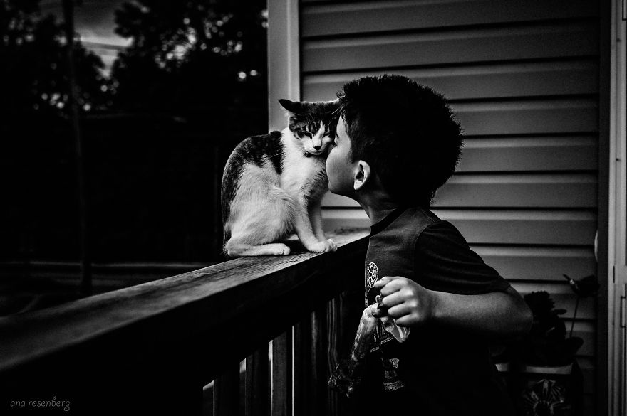I Document The Special Bond Between My Son And His Pets I Document The Special Bond Between My Son And His Pets