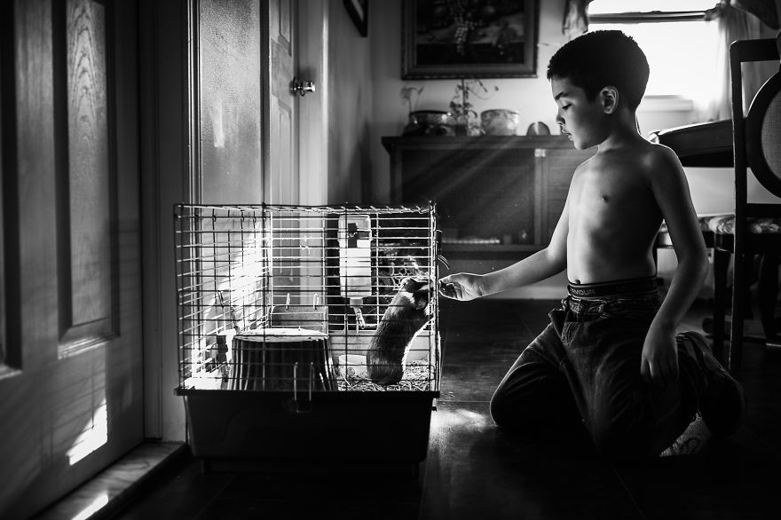 I Document The Special Bond Between My Son And His Pets I Document The Special Bond Between My Son And His Pets