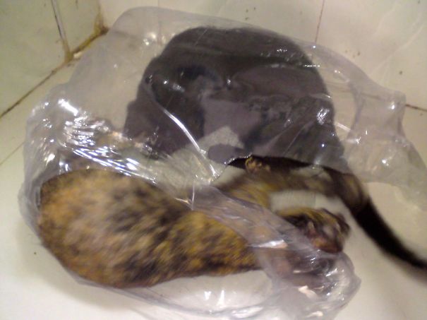 Don't Waist Any Money For Toys.