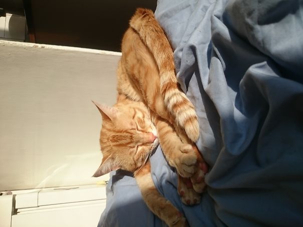 I Will Fall,but I Shall Have That Vitamin D