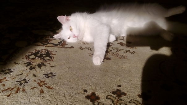 Nicksy Found A Hotspot Too !