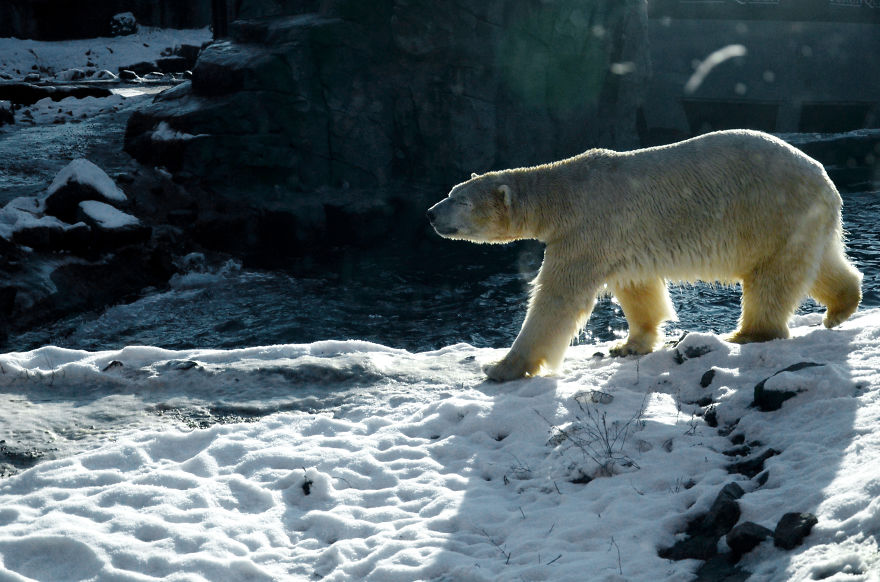Enjoying The Sun ☀️