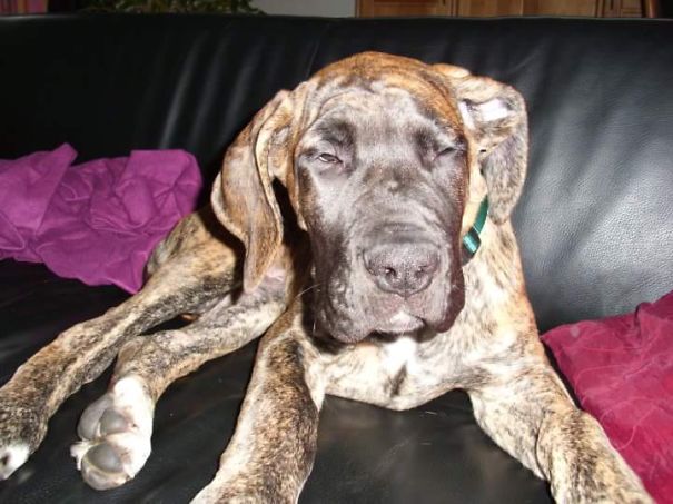 Good Morning, Lotta!