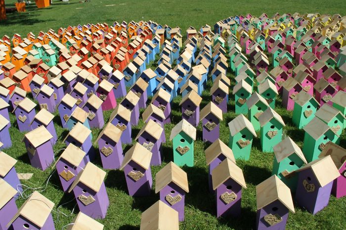I Made 3500 Birdhouses From Scrapwood To Keep Birds In Cities I Made 3500 Birdhouses From Scrapwood To Keep Birds In Cities