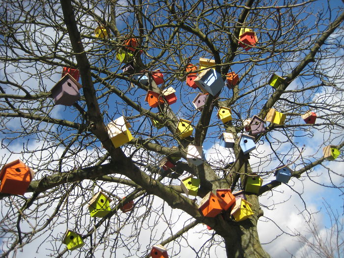 I Made 3500 Birdhouses From Scrapwood To Keep Birds In Cities