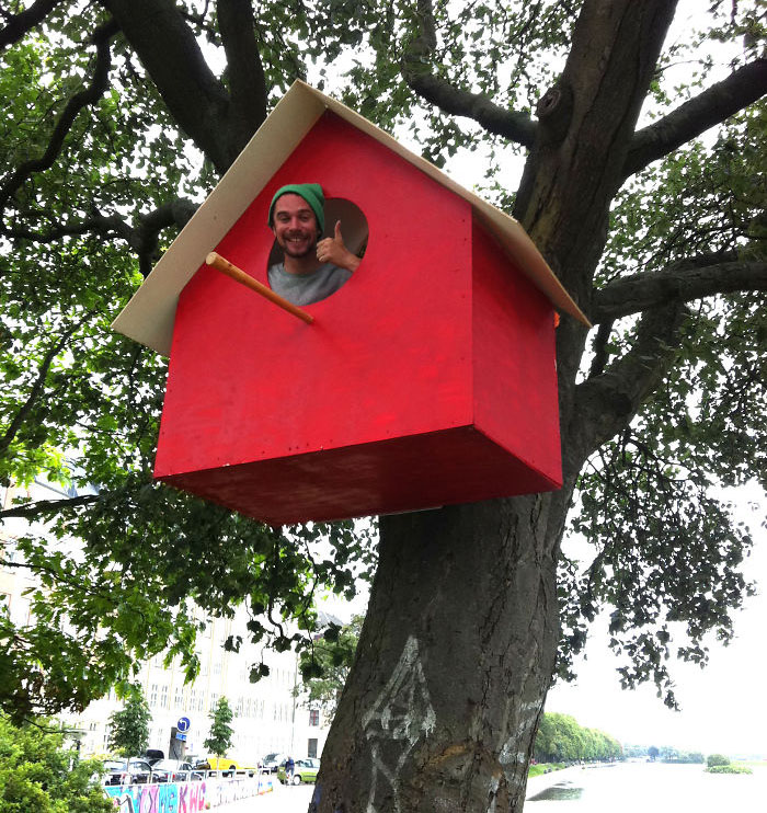 I Made 3500 Birdhouses From Scrapwood To Keep Birds In Cities I Made 3500 Birdhouses From Scrapwood To Keep Birds In Cities