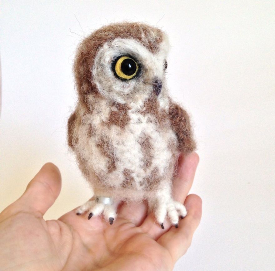 I Make Realistic Crocheted Birds Out Of Wool