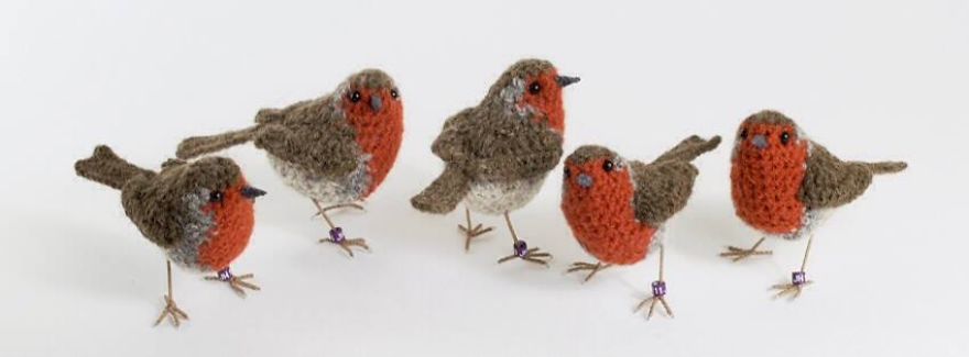 I Make Realistic Crocheted Birds Out Of Wool