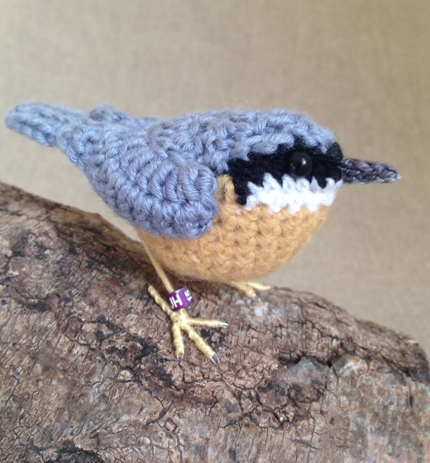 I Make Realistic Crocheted Birds Out Of Wool