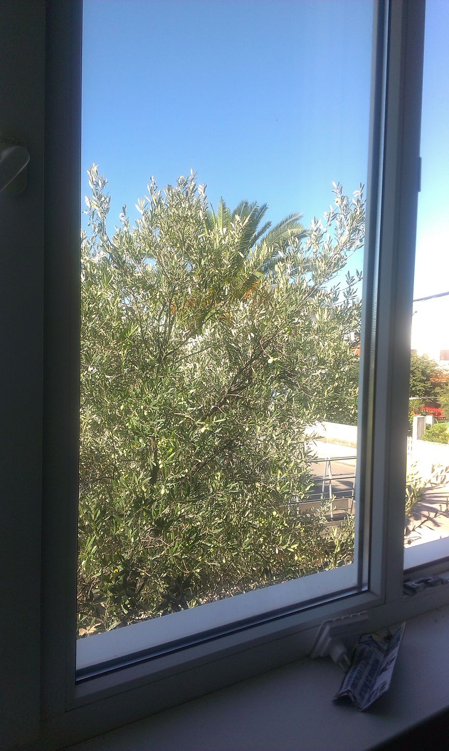 Hope The Quality Is Not Too Low.. There Are Lovely Trees :)