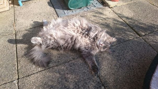 Someone Turn Me 15 Minutes