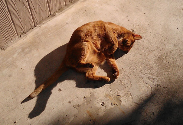 What You Lookin' At?