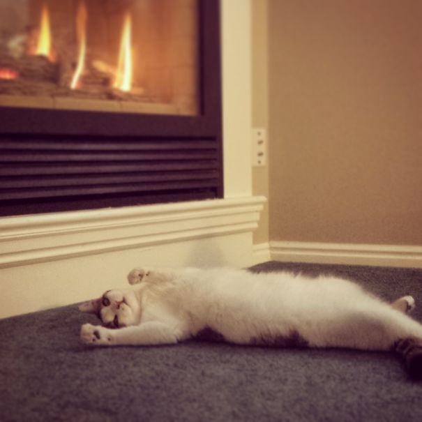 The Place, The Fire Place.