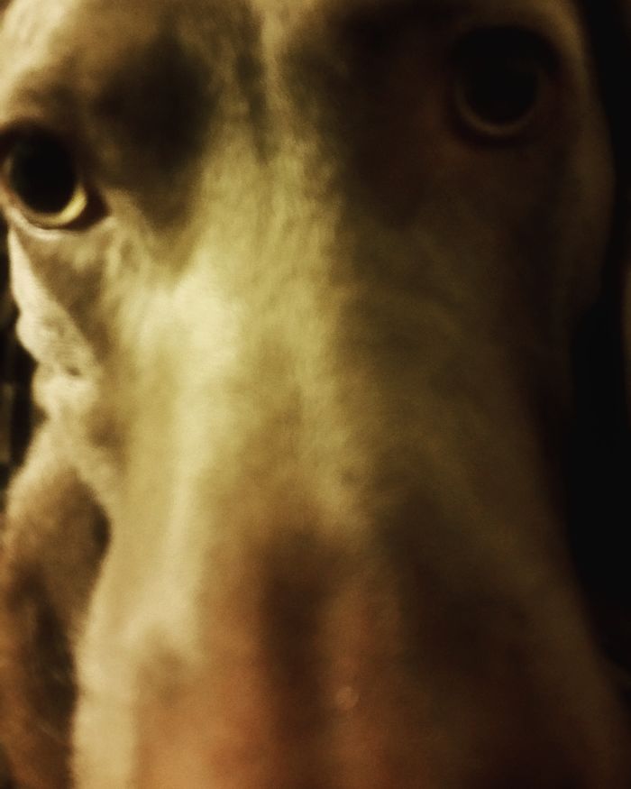 Wait...i Think I Can Get A Little Closer