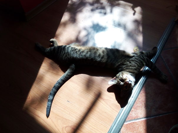 He Simply Loves The Sun