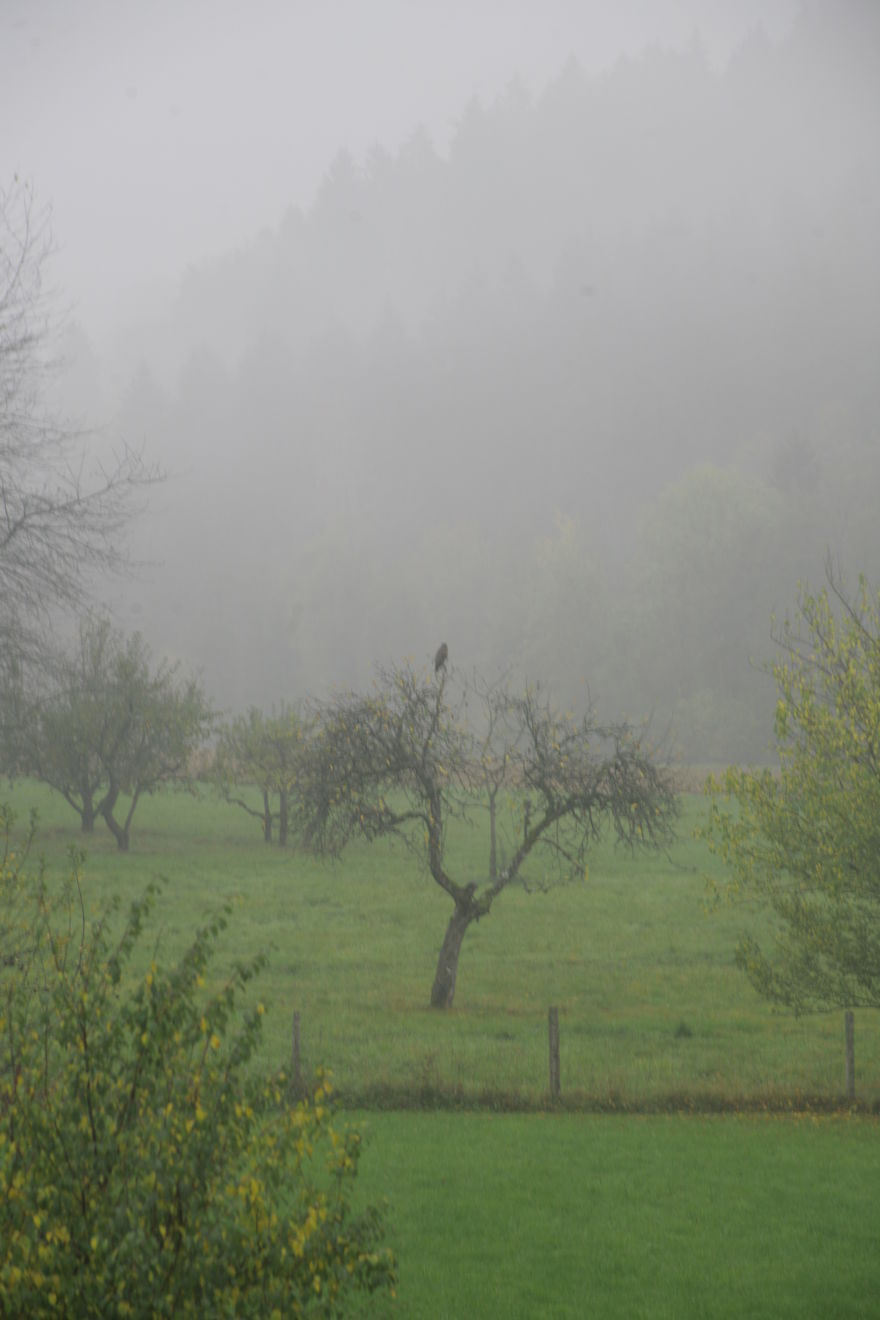 Stallikon, Switzerland