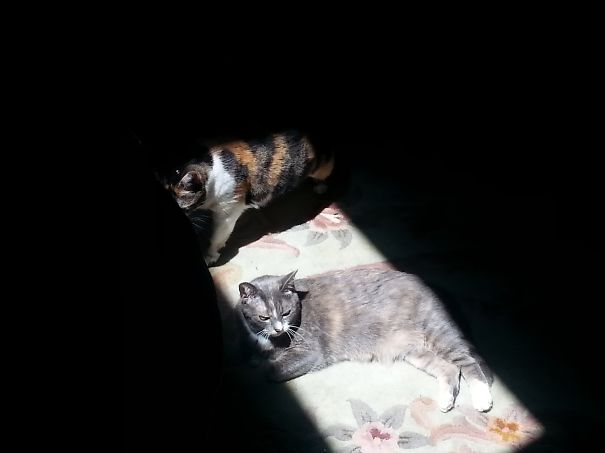 Out Of The Shadows Into The Sun