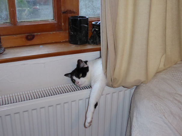 The Heat Is On So I Can Enjoy