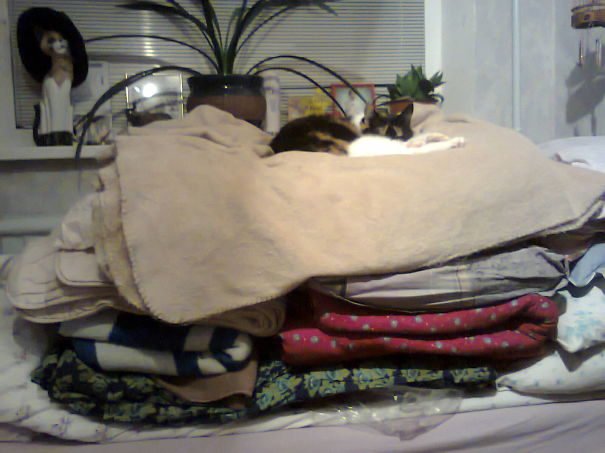 The Princess And The Pea