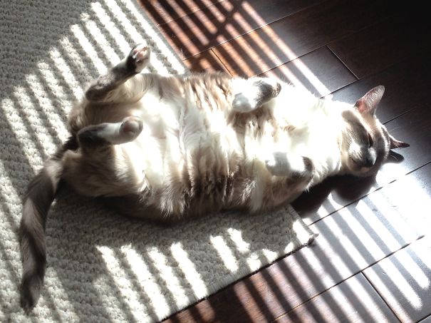 Princess Takes A Sunbath
