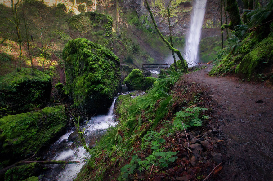 The Gorge And It's Beauty (from A Tiny Flower, A Big Water Fall Or An Amazing View)