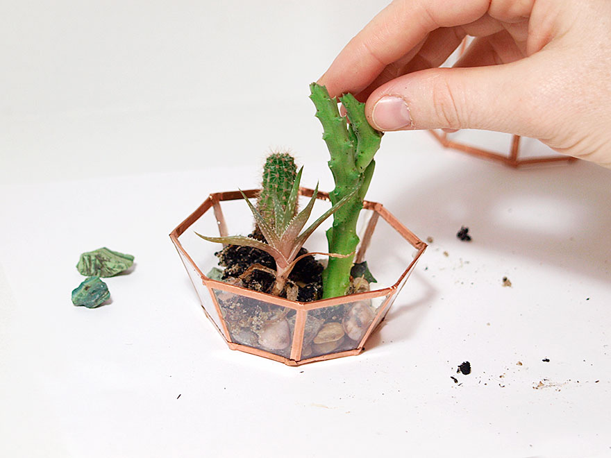 We Made An Awesome Geometric Crystal Terrarium Out Of Reused CD Cases