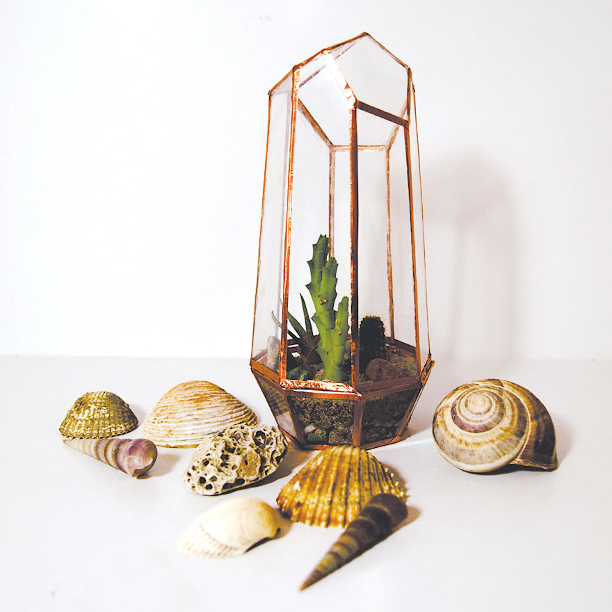 We Made An Awesome Geometric Crystal Terrarium Out Of Reused CD Cases