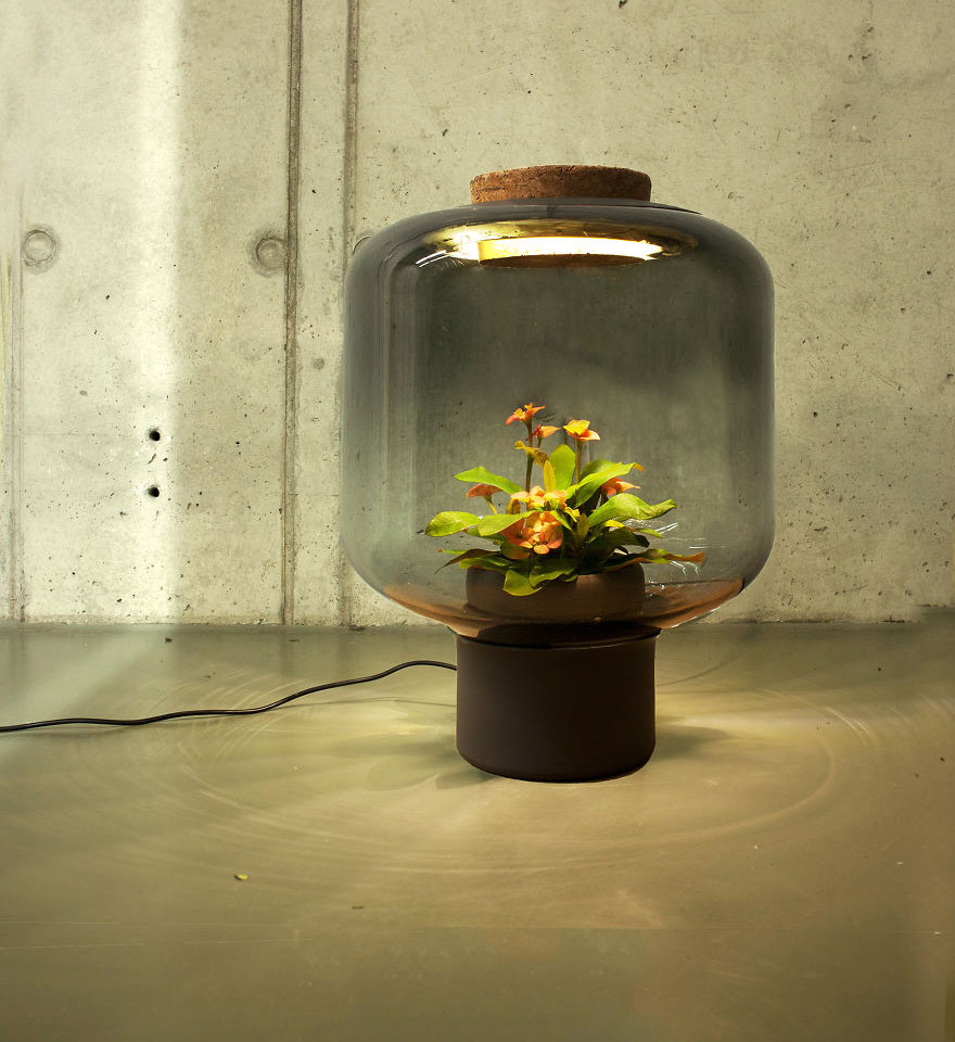 We Designed These Lamps To Grow Plants In Windowless Spaces We Designed These Lamps To Grow Plants In Windowless Spaces