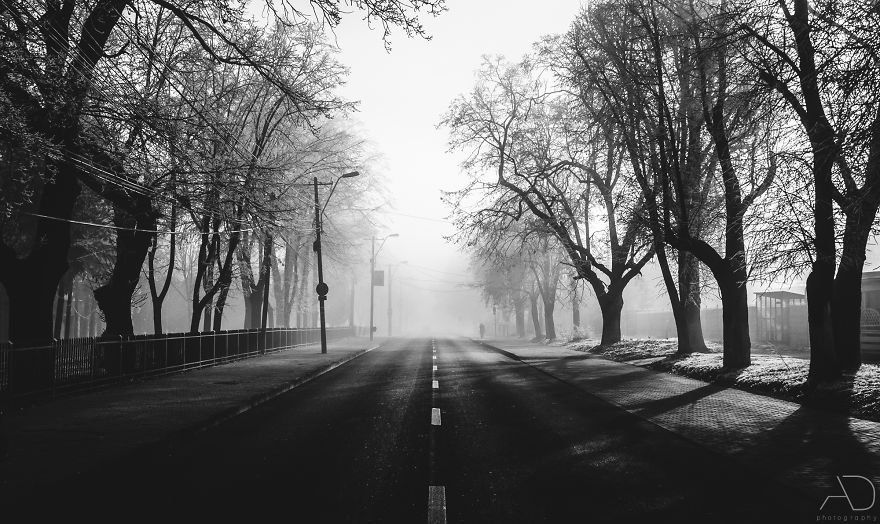 Iasi, A City You Will Never Forget