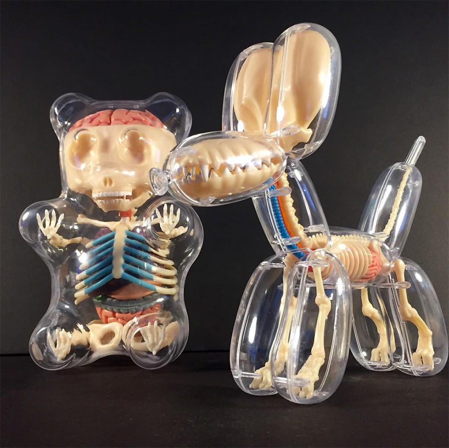 Anatomic Balloon Dog And Rubber Ducky