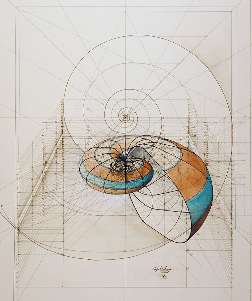 Hand-Drawn Coloring Book Reveals Mathematical Beauty Of Nature’s Designs With Golden Ratio Illustrations Hand-Drawn Coloring Book Reveals Mathematical Beauty Of Nature’s Designs With Golden Ratio Illustrations