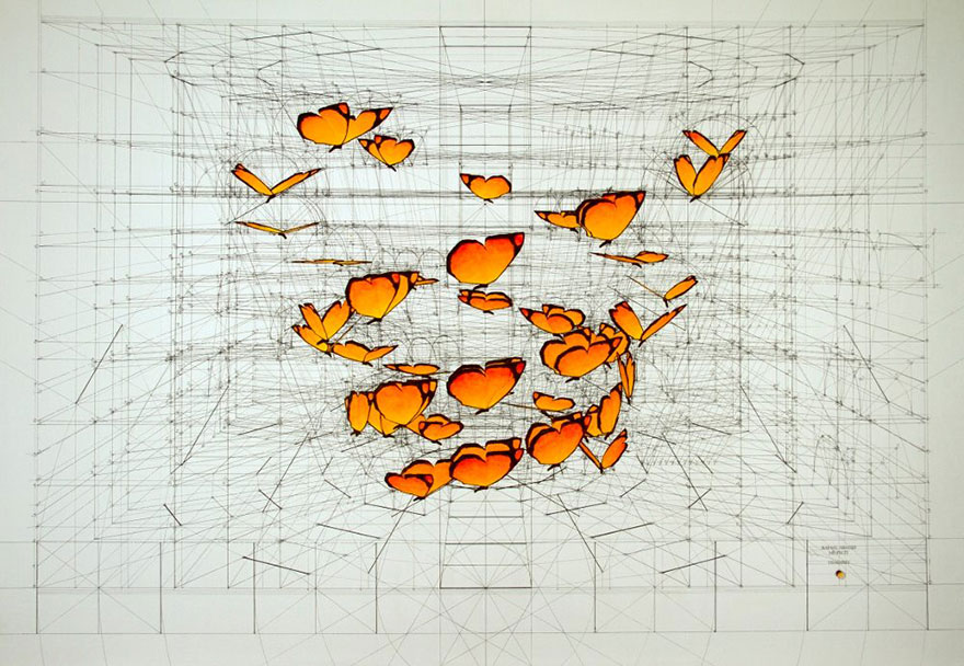 architect-reveals-the-secret-of-natures-beautiful-designs-in-a-hand-drawn-coloring-book (3) architect-reveals-the-secret-of-natures-beautiful-designs-in-a-hand-drawn-coloring-book (3)