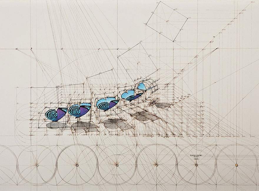 architect-reveals-the-secret-of-natures-beautiful-designs-in-a-hand-drawn-coloring-book (4) architect-reveals-the-secret-of-natures-beautiful-designs-in-a-hand-drawn-coloring-book (4)