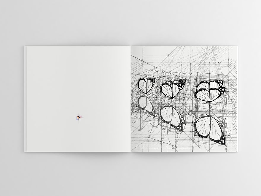 Hand-Drawn Coloring Book Reveals Mathematical Beauty Of Nature’s Designs With Golden Ratio Illustrations