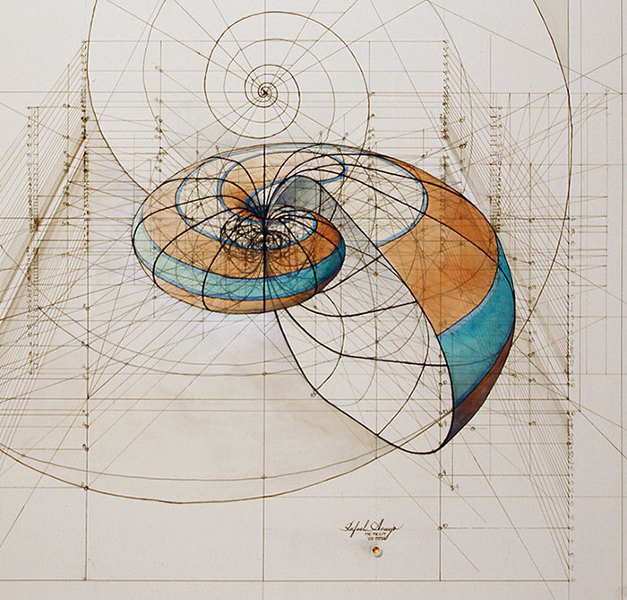 Hand-Drawn Coloring Book Reveals Mathematical Beauty Of Nature’s Designs With Golden Ratio Illustrations