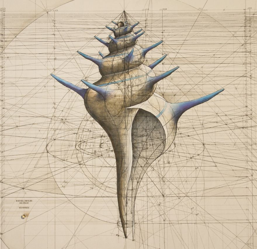 Hand-Drawn Coloring Book Reveals Mathematical Beauty Of Nature’s Designs With Golden Ratio Illustrations Hand-Drawn Coloring Book Reveals Mathematical Beauty Of Nature’s Designs With Golden Ratio Illustrations
