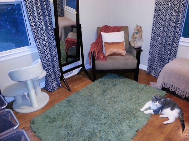 And That Pretty Much Sums It Up. Punks.