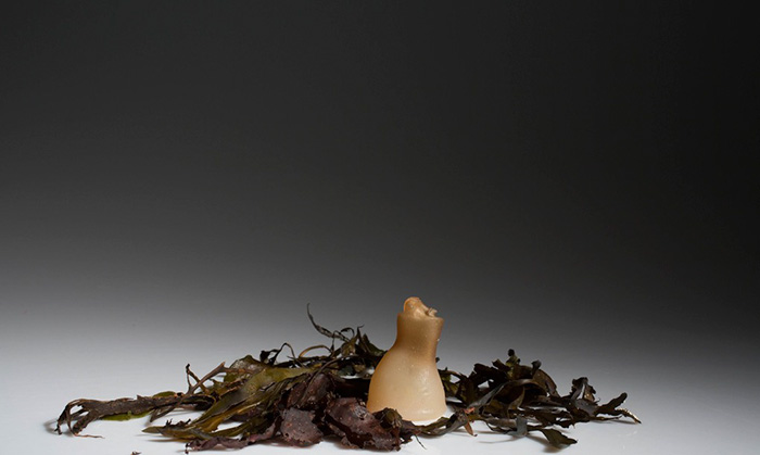 biodegradable-algae-water-bottle-ari-jonsson-1