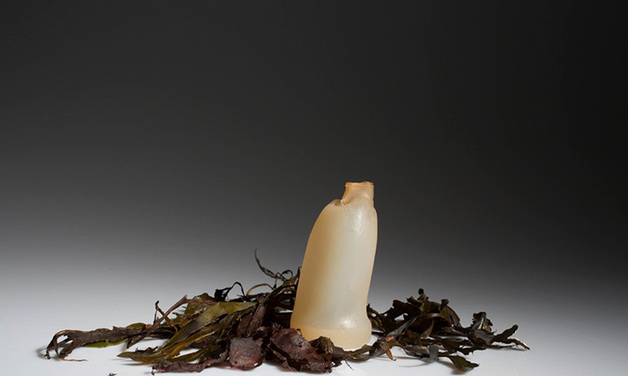 biodegradable-algae-water-bottle-ari-jonsson-3 biodegradable-algae-water-bottle-ari-jonsson-3