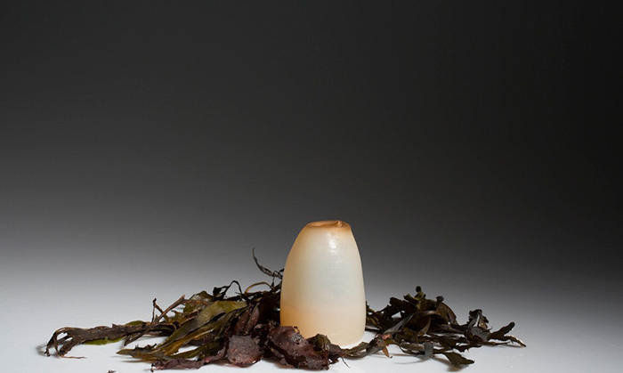 biodegradable-algae-water-bottle-ari-jonsson-6 biodegradable-algae-water-bottle-ari-jonsson-6