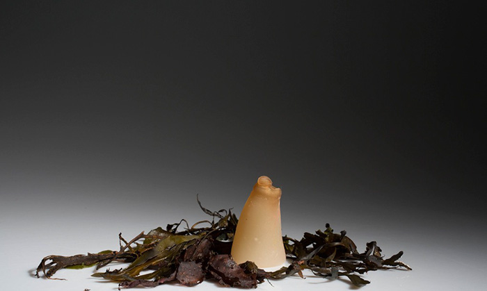 biodegradable-algae-water-bottle-ari-jonsson-7