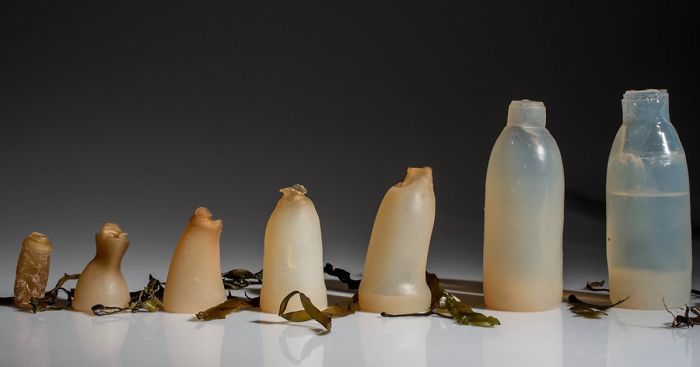 Man Invents Biodegradable Algae Water Bottles As A Green Alternative To Plastic